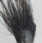Untitled, 2015, tempera on canvas, 30x30cm