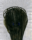 o.T., 2015, Acryl auf Papier, 23,6x19cm