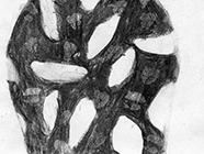 o.T., 2007, Kohle auf Papier, 14,7x19,5cm