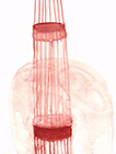 Untitled, 2009, watercolor on paper, 19x14,5cm