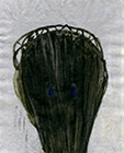 o.T., 2015, Acryl auf Papier, 23,6x19cm