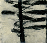 o.T., 2005, Kohle auf Papier, 19,5x22cm